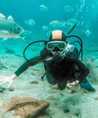 Einsteigerfreundliche Tauchplätze geniessen